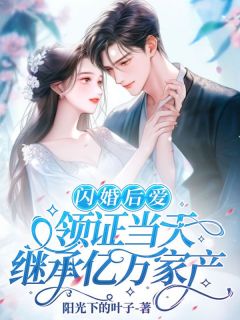 闪婚后爱，领证当天担当亿万产业