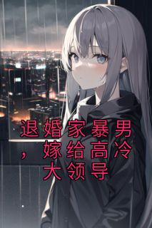 退婚家暴男，嫁给高冷大带领