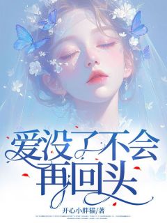 爱没了不会再转头