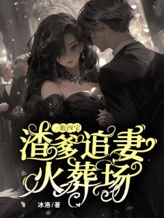  一胎四宝，渣爹追妻火化场