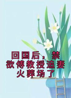 返国后，禁欲傅传授追妻火化场了