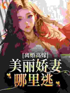 仳离高嫁：斑斓娇妻那里逃