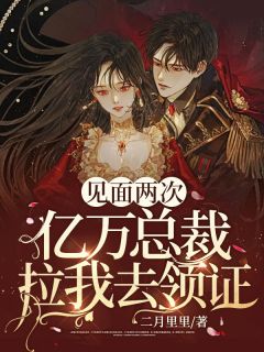 碰头两次，亿万总裁拉我去领证