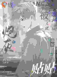 穿成狠毒炮灰后被大佬强迫贴贴