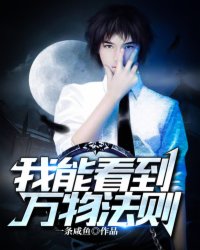 我能看到万物法例