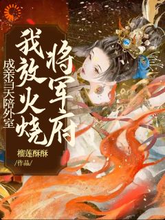 结婚当天陪外室，我纵火烧将军府