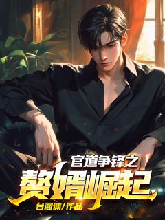 官道争锋之赘婿突起