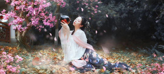 有甚么都雅的金龟婿小说

